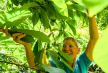 How do you measure value of a garden? The emotional heft of selling a labor of love