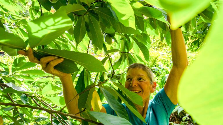 How do you measure value of a garden? The emotional heft of selling a labor of love How do you measure value of a garden? The emotional heft of selling a labor of love