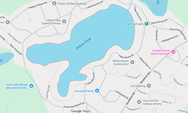 Teen dies after falling off paddleboard on Cape Cod Teen dies after falling off paddleboard on Cape Cod
