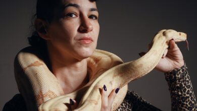 Even snakes have to audition for the opera at the Met. Princess the boa constrictor got the part – WTOP News