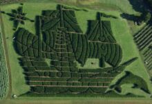 A family farm in Maine has the best corn maze and pumpkin patch in America, according to USA Today readers