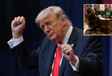 Trump Brags He’s Made ‘Hundreds of Billions’ On Stocks: ‘I Do This for Our Country’