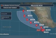 Hurricane Polo Spaghetti Models Show Potential Paths As Storm Intensifies