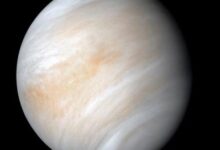 Get ready for Venus Week – WTOP News