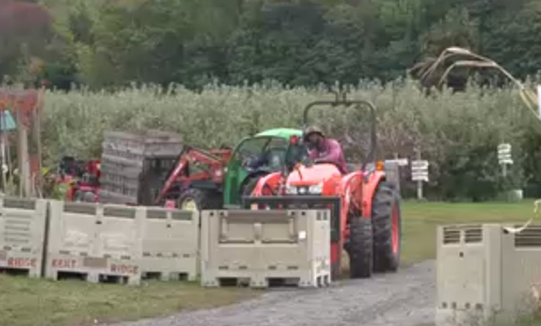 High diesel prices forcing Vermont business to ‘eat’ the cost High diesel prices forcing Vermont business to ‘eat’ the cost