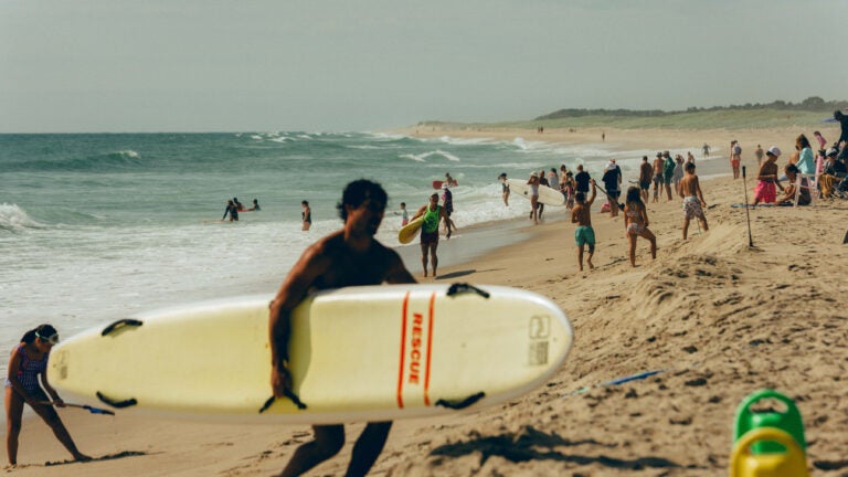 Cape Cod learns to live with sharks Cape Cod learns to live with sharks