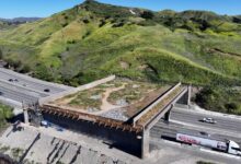 An elegant fix for one of America’s deadliest road problems