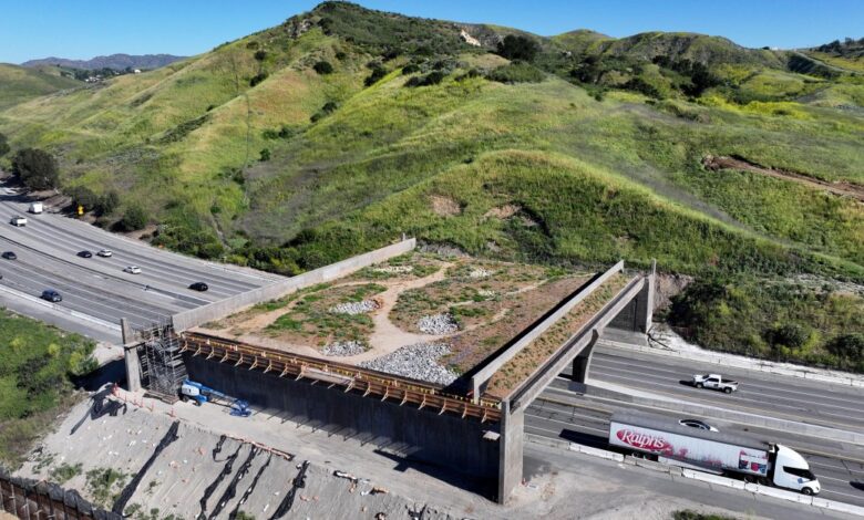 An elegant fix for one of America’s deadliest road problems An elegant fix for one of America’s deadliest road problems