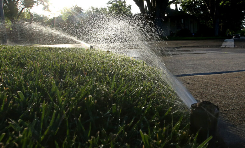 Spanberger declares state of emergency as drought strains Virginia farmers – WTOP News Spanberger declares state of emergency as drought strains Virginia farmers – WTOP News