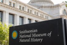 Trump Is Now Using Taxpayer Money to Finance His War on the Smithsonian