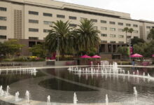 Judge slams county’s ‘obvious conflict of interest’ in suit seeking use-of-force records