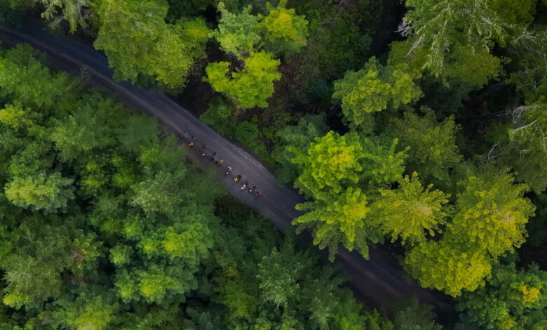 Tribes could co-manage ancestral forests under bill heading to Newsom’s desk Tribes could co-manage ancestral forests under bill heading to Newsom’s desk