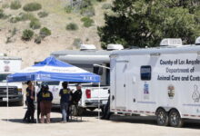 D.A. announces criminal charges against Lake Hughes animal rescuer