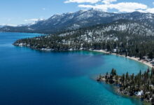 Woman attacked by sea otter at Lake Tahoe was bruised, bloodied but sure one skill saved her