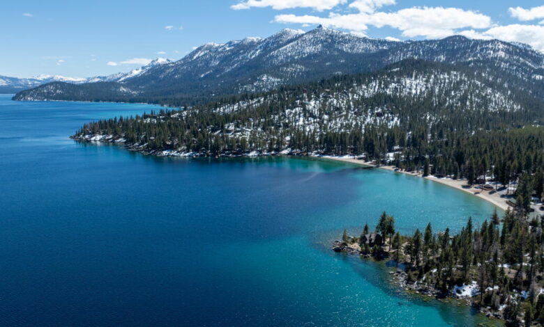 Woman attacked by sea otter at Lake Tahoe was bruised, bloodied but sure one skill saved her Woman attacked by sea otter at Lake Tahoe was bruised, bloodied but sure one skill saved her
