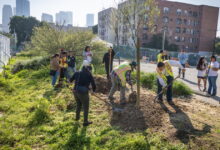 One L.A. school trades asphalt for trees and grass