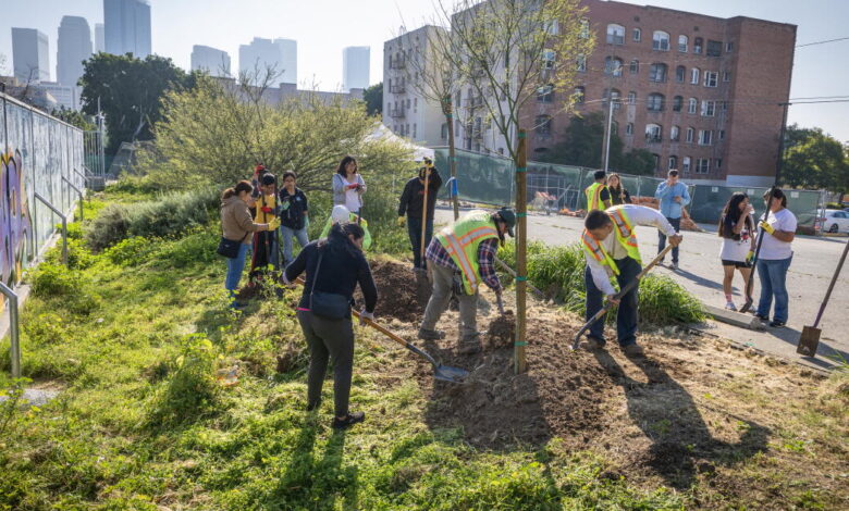One L.A. school trades asphalt for trees and grass One L.A. school trades asphalt for trees and grass