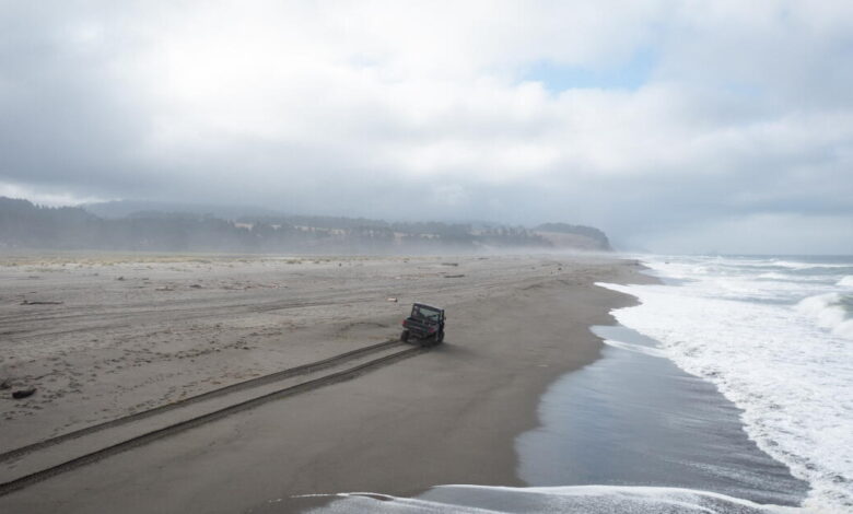 An eroding California beach and the fight over driving on the sand