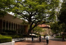 ‘USC is not afraid to change.’ New provost vows to rebuild lost trust in higher education