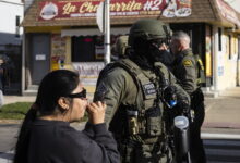 Illinois Democrats ask DHS inspector general to investigate federal agents for excessive force