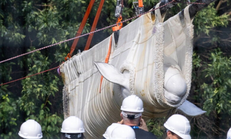 2 more belugas die at Shedd Aquarium