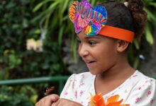 The Peggy Notebaert Nature Museum’s sendoff party for monarch butterflies
