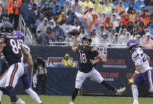 Bears trail Vikings 6-3 at halftime