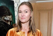 Who is Julia Stiles’ Husband? They Met on a Movie Set in 2014!