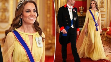Kate Middleton Wears Elie Saab Gown and Historic Tiara for State Banquet