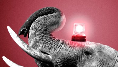 Senate Republicans Weighing Emergency Spending in Mississippi, South Carolina and Kansas