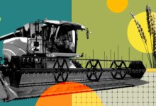 How overlapping conflicts, energy strains, and extreme weather threaten global food security