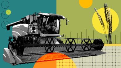 How overlapping conflicts, energy strains, and extreme weather threaten global food security