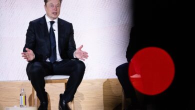 Democrats Eye Elon Musk for Sweeping Congressional Investigations if House Flips