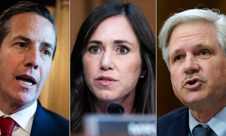 Republicans Sound Delusional About Their Fate In The Midterm Elections Republicans Sound Delusional About Their Fate In The Midterm Elections