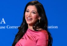 Massachusetts Man Charged With Cyberstalking Podcaster Katie Miller