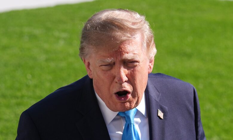 Trump Targets Reporter With Personal Insult Over Poll Data
