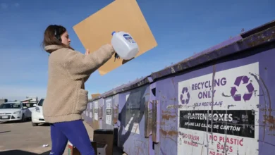 Navigating Confusing Municipal Standards: 25 Common Household Items That Do Not Belong in the Recycling Bin Navigating Confusing Municipal Standards: 25 Common Household Items That Do Not Belong in the Recycling Bin