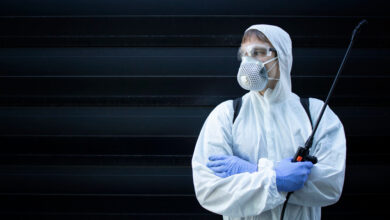 Why Regular Pest Maintenance Is Your Property’s Best Defense