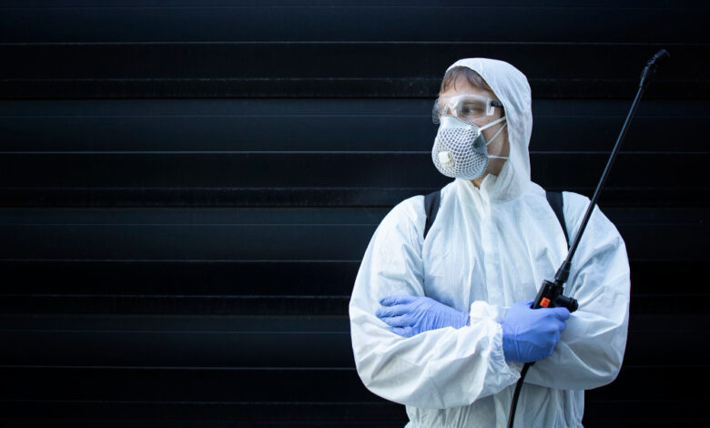 Why Regular Pest Maintenance Is Your Property’s Best Defense