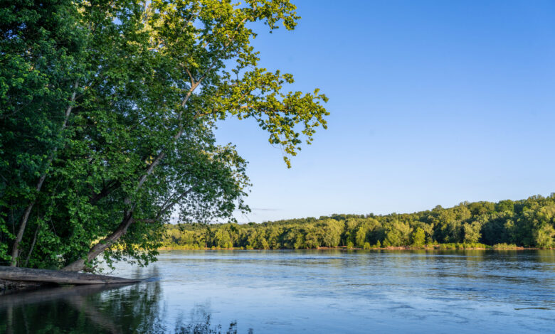 Potomac River Water Quality Rebounds After Massive Sewage Spill