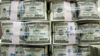 Egypt Finance Ministry Vows Debt Service Reductions After Moody’s Upgrade