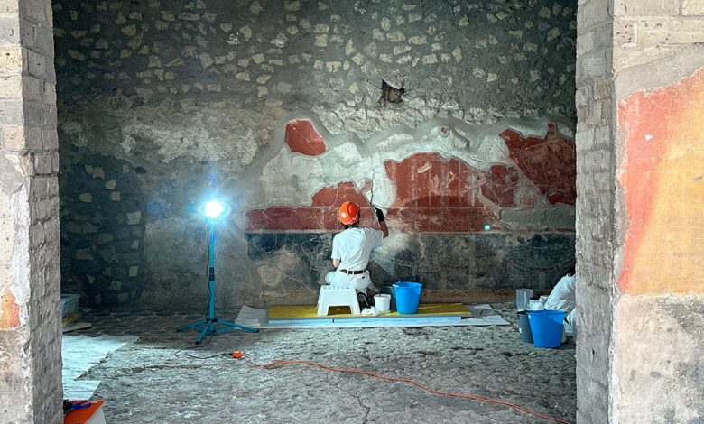 Grand Pompeii Mansion Set for Public Return After Private £1.1M Donation