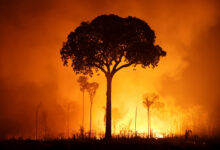 Global Warming Accelerating Toward Critical Tipping Points, Scientist Warns