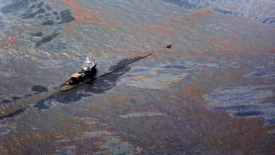 Marine Life Plummeted in Gulf Twilight Zone Years After Deepwater Horizon Spill Marine Life Plummeted in Gulf Twilight Zone Years After Deepwater Horizon Spill