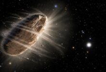 Massive Spinning Asteroid Challenges Longstanding Astronomical Theories on Cosmic Spin Limits