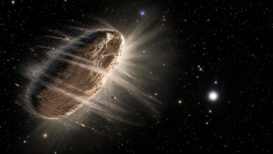 Massive Spinning Asteroid Challenges Longstanding Astronomical Theories on Cosmic Spin Limits