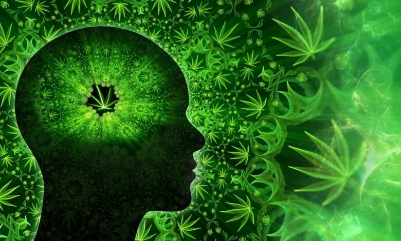 Why Cannabis Triggers Paranoia: A New Brain Study
