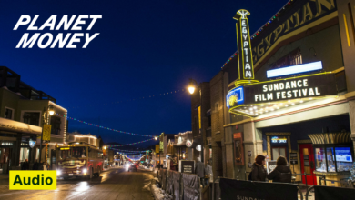 Anatomy of a Movie Market: How Independent Films Reach Screens Anatomy of a Movie Market: How Independent Films Reach Screens