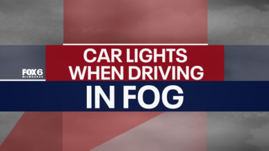 Understanding How to Use Vehicle Lights Safely During Heavy Fog Understanding How to Use Vehicle Lights Safely During Heavy Fog