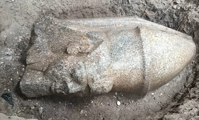 Egyptian Farmer Accidentally Discovers Two Massive Statues from the Era of Ramses II